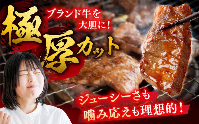 艶さし！ 佐賀牛 焼肉用 500g 吉野ヶ里町 [FDB008]