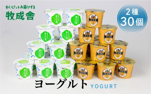 牧成舎 30個 カップヨーグルト 冷蔵 冷蔵保存 さっぱり ヘルシー 生クリーム 濃厚 生乳100％ 無糖 プレーン 加糖 日時指定 時間指定 乳製品