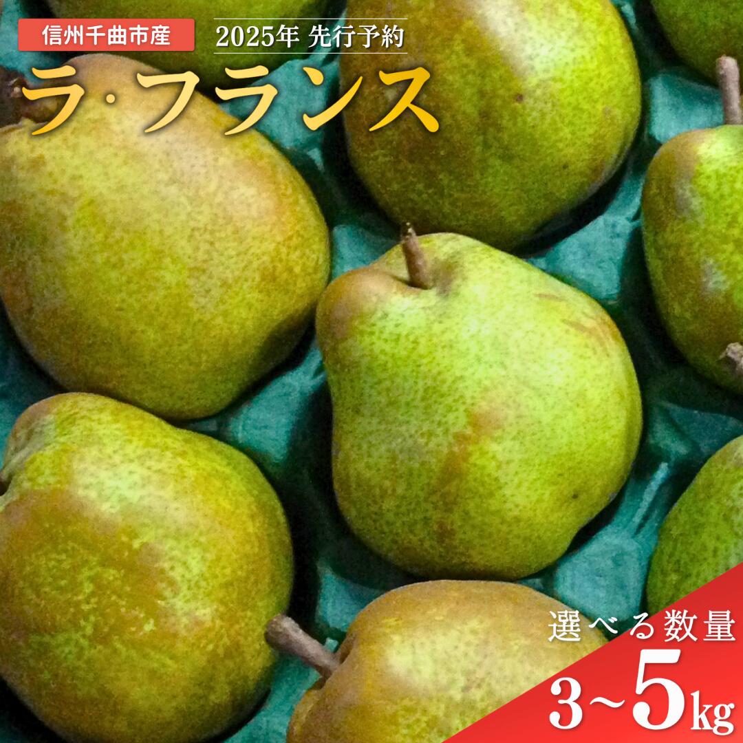 【ふるさと納税】【2025年先行予約】洋梨 ラ・フランス 約3kg / 5kg ｜ ラフランス 洋梨 果物 フルーツ デザート 千曲市 長野県産 信州