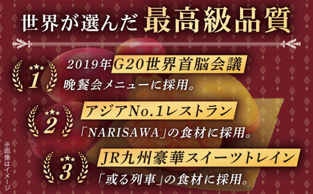 【先行予約】【訳あり】【高級】完熟プレミアム プリンセスマンゴー 不揃い 約1000g【堀内フルーツファーム】[QAT009] マンゴー まんごー フルーツ マンゴー プリンセスマンゴー 完熟マンゴー