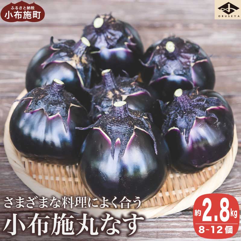 【ふるさと納税】小布施丸なす 約2.8kg 8～12個［小布施屋］茄子 ナス 信州 伝統野菜 やさい 長野県産 お取り寄せグルメ 数量限定 期間限定 令和7年産 【2025年8月～10月上旬発送】