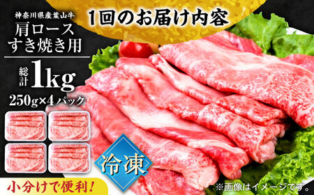 【全6回定期便】葉山牛肩ロースすき焼き用 250g×4パック 小分け 牛肉 すきやき 冷凍  計1.0kg【株式会社羽根】 [AKAG040]