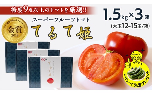 
てるて姫 中箱 1.5kg × 3箱 【12~15玉/1箱】 糖度9度 以上 スーパーフルーツトマト 野菜 フルーツ トマト フルーツ トマト とまと [AF069ci]
