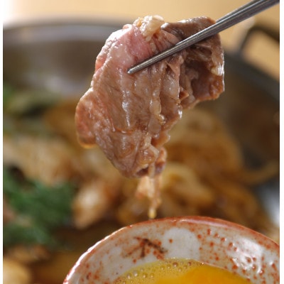 神戸牛贅沢パーティーセットB　ステーキ・すき焼き　合計4.0Kg　牛脂付き【配送不可地域：離島】【1529492】