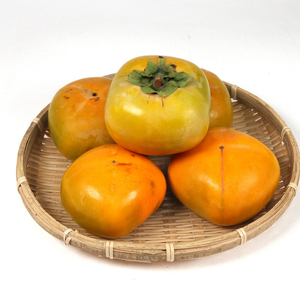 家庭用 たねなし柿 約1kg【AQ-ikd725】