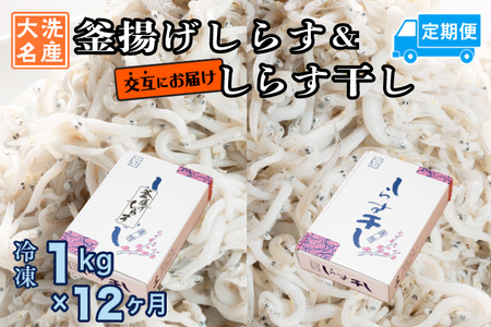 釜揚げしらす しらす干し 交互 定期便 (1kg×12か月) しらす _AG067