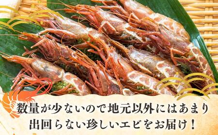 ダイオウキジンエビ(ガサエビ) 300g えび エビ 海老  魚介 魚介類 北海道 羅臼町 海産物 冷凍 刺身 フライ 生産者 支援 応援