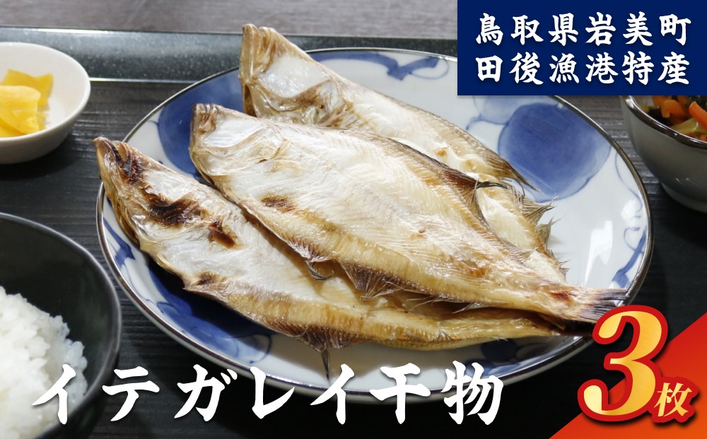 
                  田後漁港特産 イテガレイ干物 3個セット 鳥取 岩美 かれい ひもの 日本海 干物【24021】
                