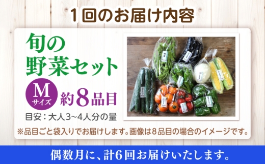 【野菜 定期便】こだわりの新鮮野菜 6回定期便 8品程度 お任せ 野菜 やさい 青果 朝採れ 新鮮 旬の野菜 ヤサイ ﾔｻｲ 季節の野菜 詰め合わせ セット 須山農園 島根県 松江市 詰め合わせ 定期