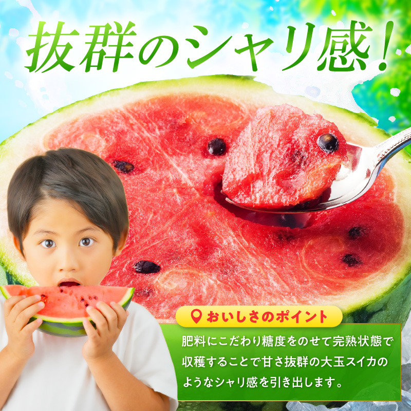 【0252-2】紀州プレミアムひとりじめ（小玉スイカ） 4玉7kg程度≪先行予約2026年6月初旬以降発送分≫