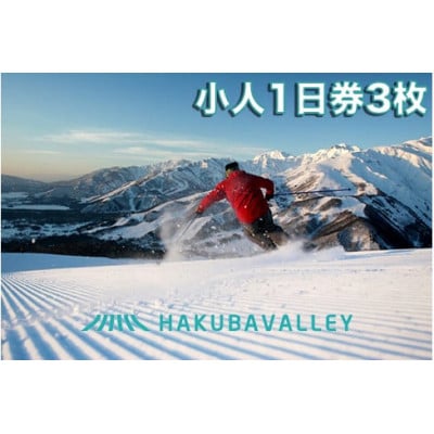 HAKUBA VALLEY 10 スキー場共通リフト券【小人1日券3枚】【1560080】