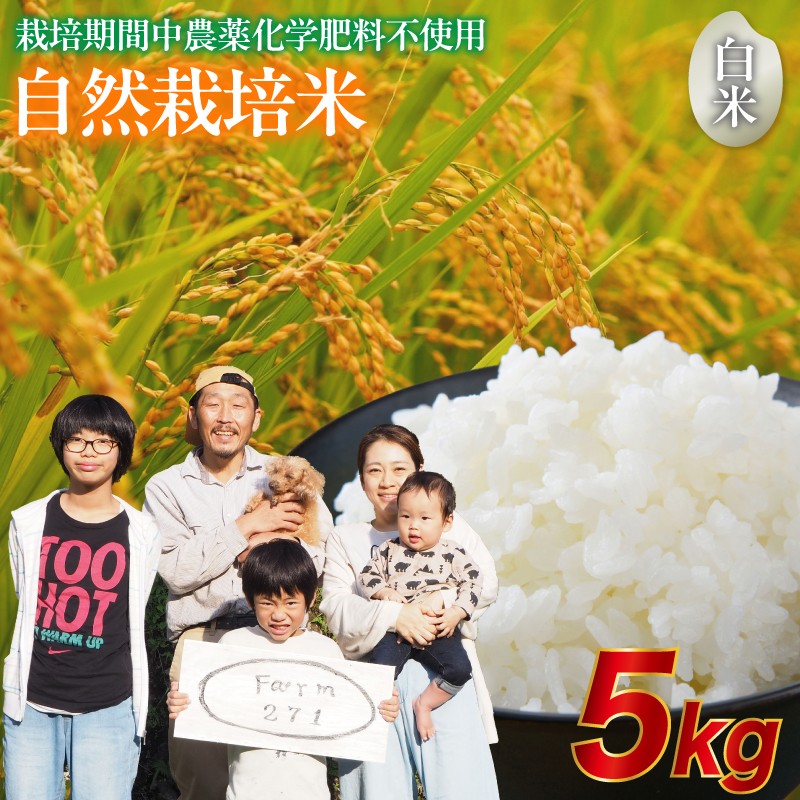 
                  令和7年度産 自然栽培米 こしひかり 5kg 白米 精米 京都 舞鶴産 舞鶴コシヒカリ 農家直送 お米 健康志向 ご飯 農薬不使用 化学肥料不使用 自然の力
                