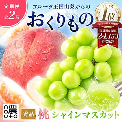 ふるさと納税 笛吹市 【発送月固定定期便】山梨の美味しい果物 桃・シャインマスカット全2回