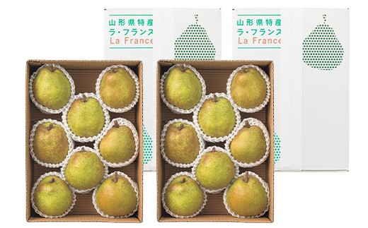 山形県産 西洋梨 ラ・フランス 6kg(16個) 5L 秀品 2026年11月上旬から順次発送 F2Y-7061