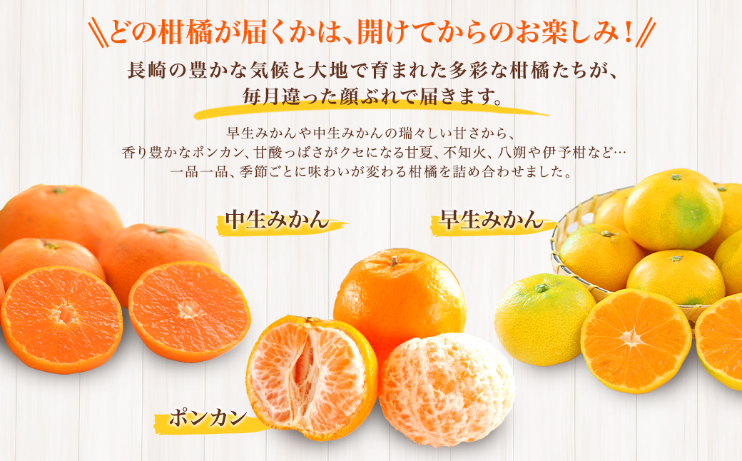 【全3回定期便】春冬限定 柑橘 お楽しみ定期便 みかん ポンカン 不知火等 ／ 早生みかん 中生みかん 甘夏 八朔 伊予柑 果物 フルーツ 長崎 九州 定期便 【2025年11月上旬～2026年3月下