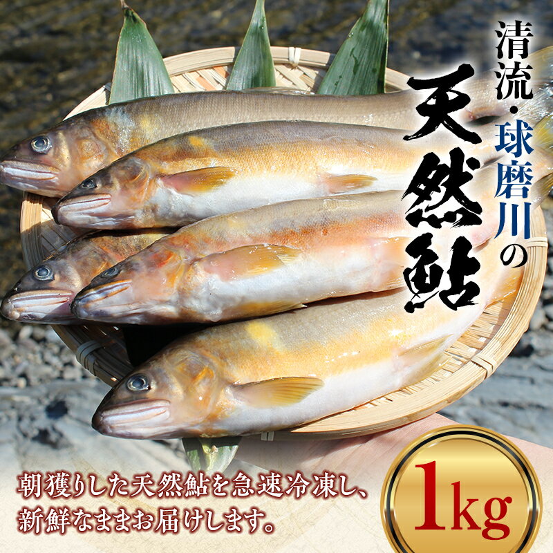 【ふるさと納税】球磨川の天然鮎 1kg あゆ アユ 魚 塩焼き 川魚 魚介 海鮮 冷凍 FKP9-365