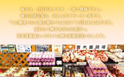 日本を代表する地鶏　名古屋コーチン卵　40個入 ｜ブランド卵 新鮮 阿久比町