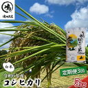 【ふるさと納税】令和6年産　3ヶ月定期便　コシヒカリ　白米　5kg【 お米 粘りつやつや 甘み】　定期便・ お米 精米 粘りつやつや 甘み 美味しい 新鮮 　お届け：2025年8月31日まで