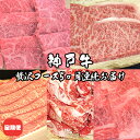 【ふるさと納税】定期便 神戸牛 贅沢コース 5ヵ月連続お届け[ 肉 食べ比べ すき焼き ステーキ 焼肉 切落し 牛肉 ]　【定期便・ お肉 国産 神戸ビーフ カルビ サーロイン 三角バラ 肩ロース 】