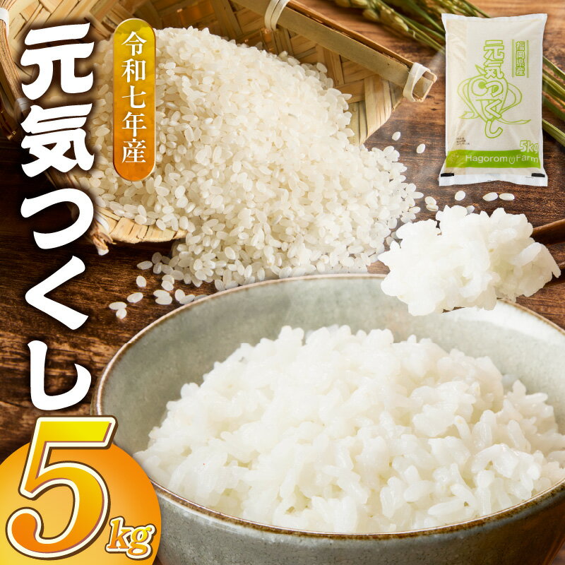 【ふるさと納税】2025年 新米 元気つくし 白米 5kg 福岡県産 精米 羽衣農園 ブランド米 銘柄米 つやつや モチモチ 程よい粘り 冷めても美味しい ご飯 白ご飯 おにぎり 弁当 お米 食品 お取り寄せ 福岡県 久留米市 送料無料