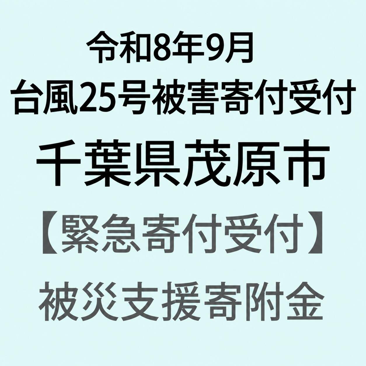 【ふるさと納税】【令和8年9月台風25号被害災害支援緊急寄附受付】千葉県茂原市災害応援寄附金（返礼品はありません）