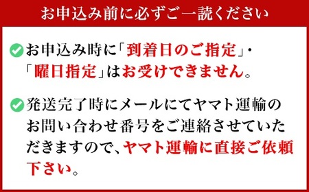 3901 信州産 新鮮朝摘み 色んな種類の大粒生ブルーベリー 1kg
