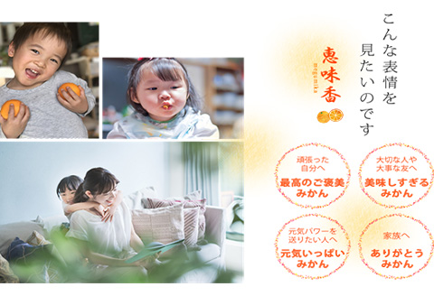 『先行予約』【令和9年3月上旬発送】糖度が高すぎッ！味香デコ 10kg 新品種 果皮も美味しく食べられる！フルーツ 果物 デザート 柑橘