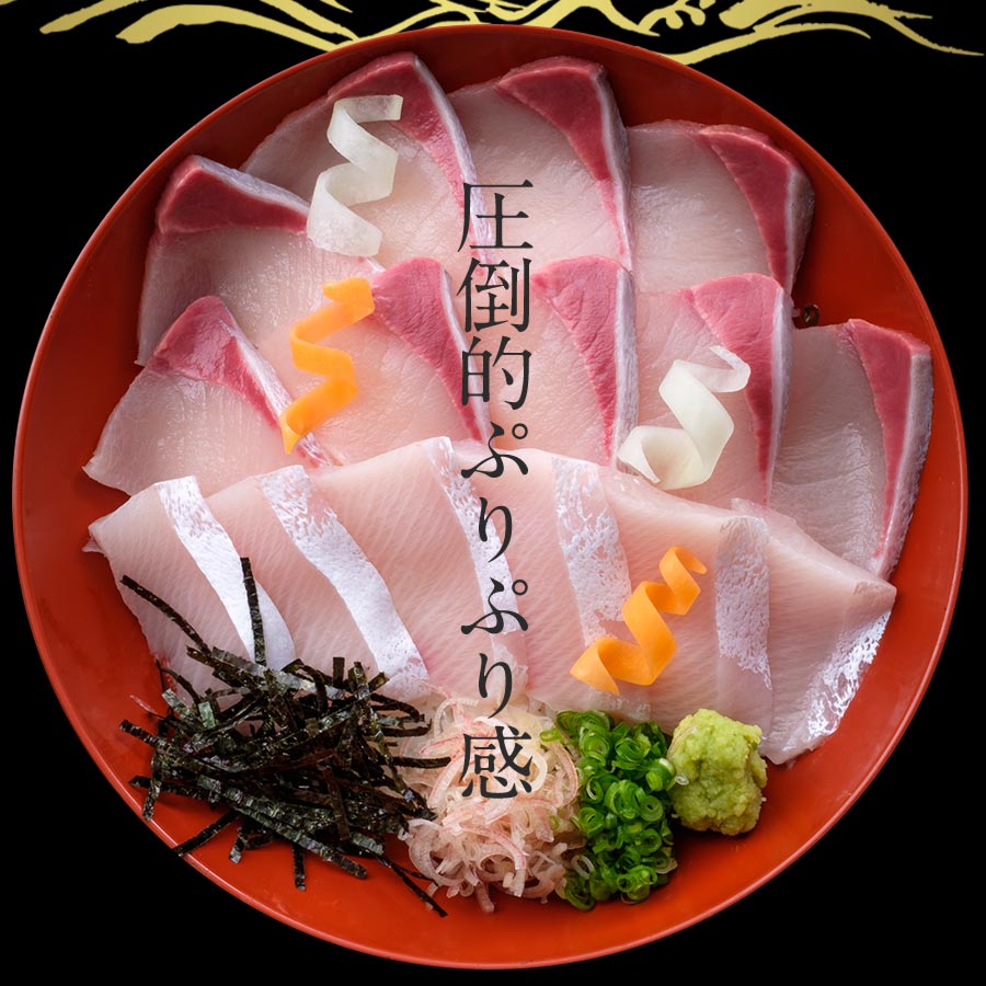 宮崎産 新海屋 鰤屋金太郎 宮崎ゴールドカンパチ 1000g　冷蔵　N018-ZB315_1