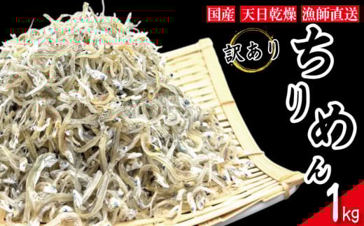 【2025年6月末から順次発送】 ちりめん 訳あり 1kg ちりめんじゃこ 選べる 容量 訳アリ ご飯 米 お米 おにぎり と一緒に 弁当 新鮮 鮮度 カルシウム 食品 健康 栄養 ギフト プレゼント 贈答 お歳暮 徳島 小松島