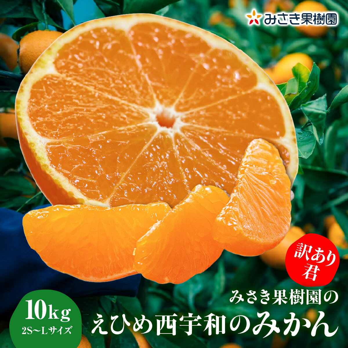 【ふるさと納税】【先行受付】【訳あり君】みさき果樹園のえひめ西宇和のみかん10kg2S～L混合【D21-17】_【1455356】YWTBC003