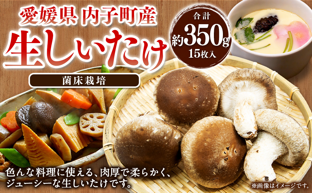 内子町産 生しいたけ (菌床栽培) 15枚入り 約350g 【えひめの町（超）推し！（内子町）】(442)