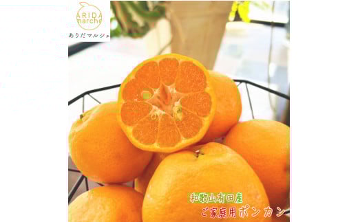 有田育ちの 完熟 ポンカン（ご家庭用）約3kg［先行予約］［MS44］