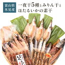 【ふるさと納税】氷見 堀与 一夜干5種とみりん干とほたるいかの素干 富山県 氷見市 干物 詰め合わせ 食べ比べ セット 味醂干し ホタルイカ