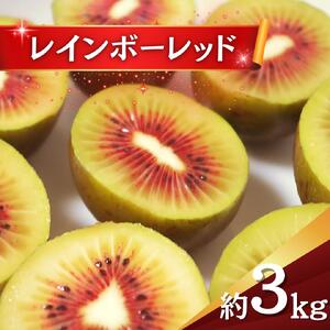 【2025年度】  キウイ レインボーレッド 3kg キウイフルーツ キウイ 国産  ビタミンC 果物 フルーツ 数量限定 期間  限定  フルーツ 果物 食物繊維 朝ごはん デザート ヘルシー  酸味 甘い くだもの 朝食 スムージー ヨーグルト 栄養補給 レッド レッドキウイフルーツ 期間限定 数量限定 限定 先行予約