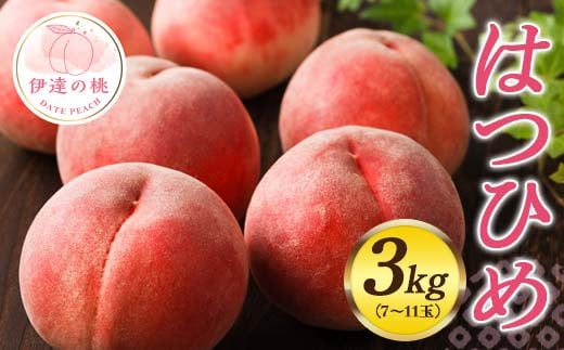 
            福島県オリジナル品種 福島県産 はつひめ 約3kg 2025年7月上旬～2025年7月中旬発送 先行予約 予約 伊達の桃 桃 もも モモ 果物 くだもの フルーツ 国産 食品 F20C-550
          