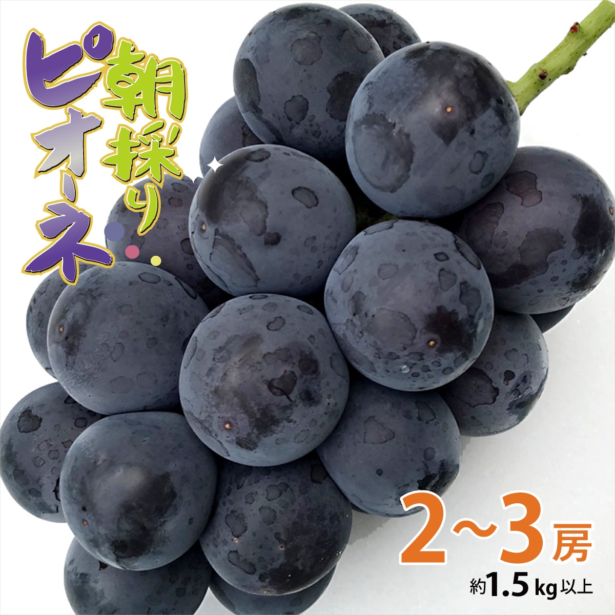 1013-013 【2025年8月下旬より順次発送】山梨県産　朝採りで鮮度・美味しさ抜群　種なしピオーネ約1.5kg　2～3房
