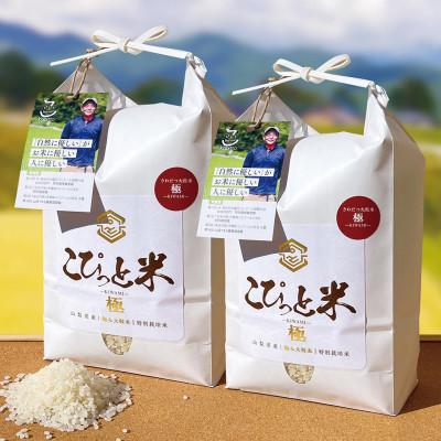 ふるさと納税 北杜市 きわだつ大粒!【令和7年産】こぴっと米【極】白米・4kg　特別栽培米