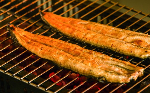 田野町産うなぎの蒲焼き2匹と天然鮎4匹セット　タレ付き 山椒付き うなぎ 鰻 ウナギ 蒲焼き かば焼き 無頭 おいしい 国産 お取り寄せ 冷凍 配送