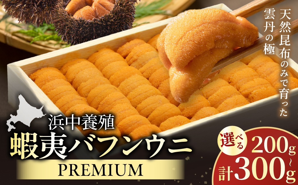 
                  【内容量が選べます!!】≪浜中養殖≫蝦夷バフンウニ(計200~300g)折箱入り うに ウニ 雲丹 養殖うに 養殖ウニ 昆布育ちうに 海鮮 海産物 魚介類 高級 北海道 浜中町 ふるさと納税 人気_H0038-102-SKU
                