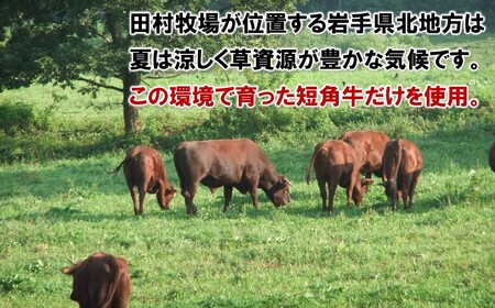 ハンバーグ 田村牧場 短角牛100%ハンバーグ 150g×6個
