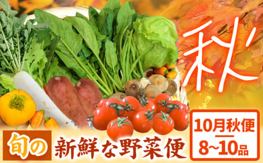 ＜先行予約＞旬の新鮮な 野菜便 10月秋便 8～10品 《2024年10月上旬-10月中旬出荷》アグリサポート美馬 秋野菜 大根 かぼちゃ すだち さつまいも ブロッコリー 次郎柿 ほうれん草 ミニト