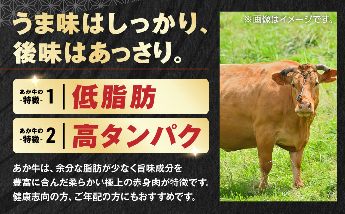 【【年間25万個販売！】】熊本県産 くまモン あか牛 ハンバーグ 120g×6個 セット 日本ギフト大賞 熊本 赤牛 ギフト 贈答 プレゼント 褐牛 あかうし 褐毛和種 肥後 冷凍 国産 牛肉【有限会
