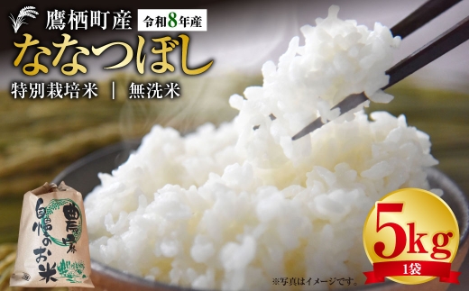 【 令和8年産 】 ななつぼし （ 無洗米 ） 約5kg 北海道 鷹栖町 たかすタロファーム お米 米 こめ コメ 白米 白飯 飯 ご飯 おにぎり ブランド米 ブランド
