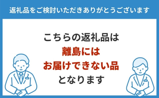 【先行予約】小林果樹園の梨 秋月 5～8玉 約3kg｜あきづき 朝どり みずみずしい 梨 なし ナシ フルーツ 果物 常総市