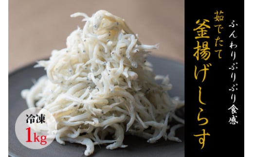 茹でたて釜揚げしらす　1kg箱入り【冷凍】無添加・無着色 / しらす シラス 釜揚げ 冷凍【mar112】