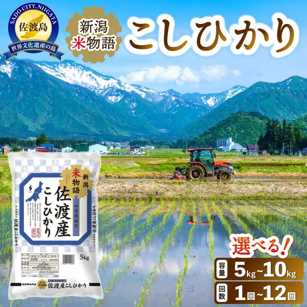 コシヒカリ 5kg 新潟米物語 | 新潟県 佐渡市