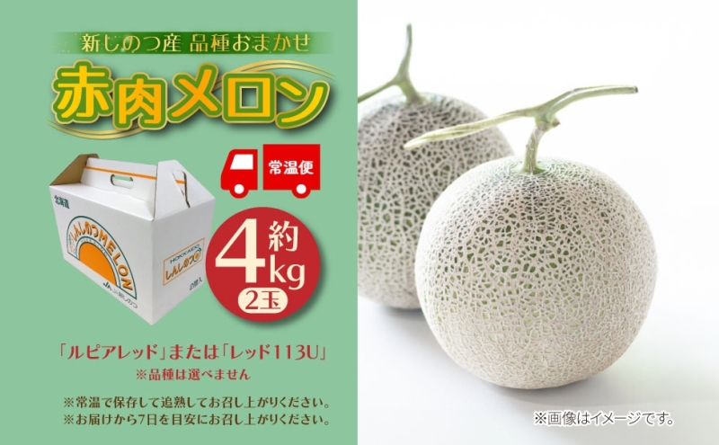 北海道 新しのつ産 赤肉メロン 2玉 約4kg メロン 果物 フルーツ 旬 季節 希少 甘い 豊潤 国産 デザート ご褒美 ギフト お祝い 贈答品 贈り物 産地直送 JA新しのつ 送料無料 新篠津