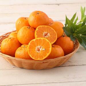 【先行予約】【訳あり】ぽんかん３kg（谷川果樹園）デコポンの親 みかん 蜜柑 ミカン 不知火 しらぬい 柑橘 かんきつ ポンカン フルーツ オレンジ 果物 くだもの 果汁 甘い【R01375】