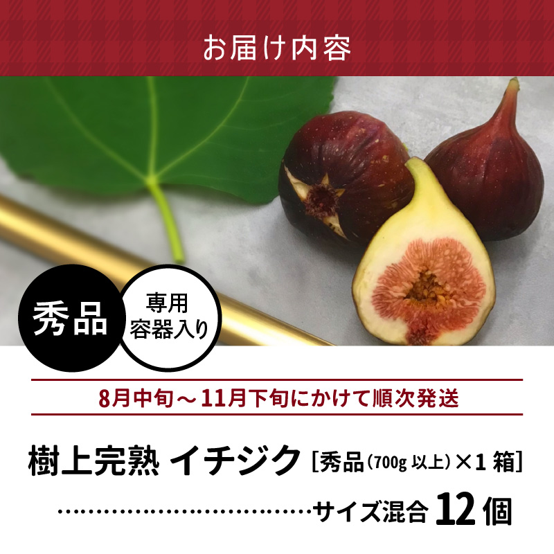 【先行予約】SDGs米糠堆肥で作った樹上完熟イチジク秀品700g以上（サイズ混合12個）潰れにくいイチジク専用容器入り【産地直送2025年8月より順次出荷】_イチジク秀品700ｇ以上 （サイズ混合12