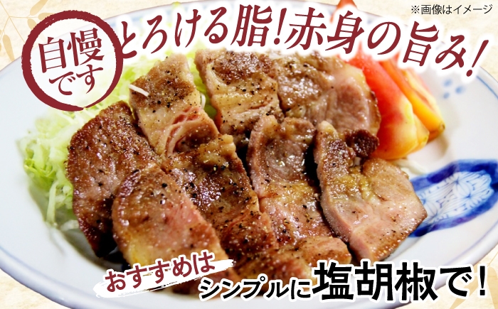 「瀬戸のもち豚せと姫」ステーキセット約900g